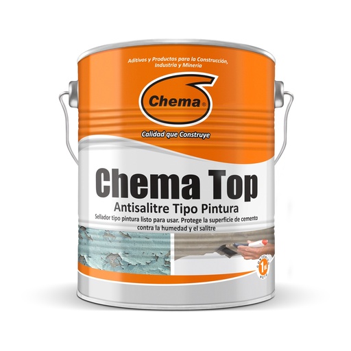 CHEMA TOP ANTISALITRE TIPO PINTURA 1GL